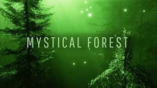 Enchanted Forest Music & Mystical Vocals ✦ Ethereal Fantasy Music ✦ 528 hz ✦ Path To The Elven Lands